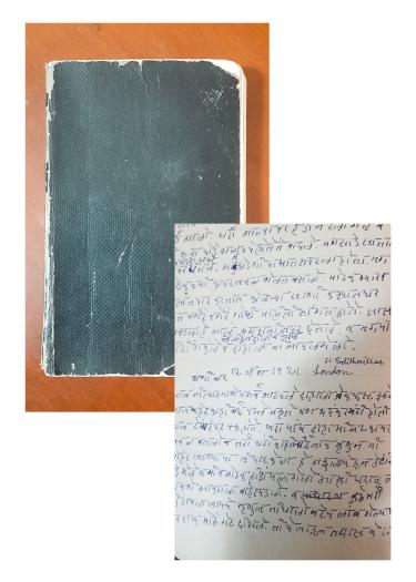Pictures of Parvati Pant's Diary