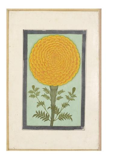 Image: Unknown watercoulour on paper of the 17th century Mughal Empire.